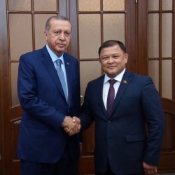 Жогорку Кеңештин Төрагасы Дастанбек Жумабеков Түркиянын Президенти Режеп Тайып Эрдоган менен жолугушту