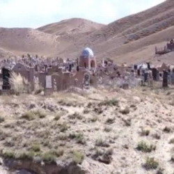 Нарында жолбун иттер көрүстөндөн ымыркайдын денесин казып алып, ары-бери сүйрөшкөн