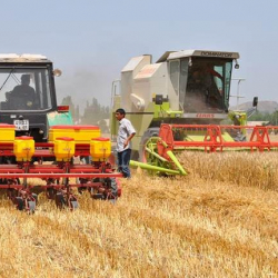 Эксперты из 20 стран собрались в Узбекистане для продвижения почвозащитного и ресурсосберегающего земледелия