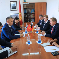 Жогорку Кеңештин тармактык комитетинин төрагасы И.Пирматов Германия Бундестагынын депутаты А.Хан менен жолугушту