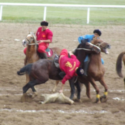 Шайырбек Абдырахман: Көкпарга кыргыз барбай койсо ким менен ойноп дүйнөнүн чемпиону болосуң жарыктык?