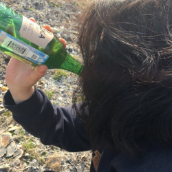 Сокулукта 5 бөтөлкө спирт ичимдигин уурдаган аял 3 жылга кесилди