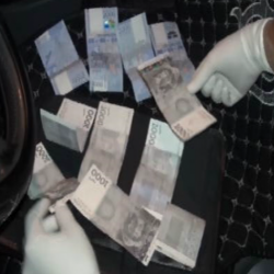 Депутат пара менен кармалды