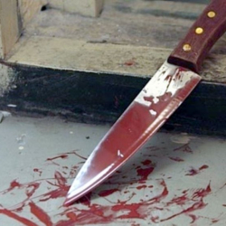 Соодагер аялын бычактап өлтүрдү