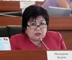 Бөдөш Мамырова: “Депутат айым менен Элчи мырза интернетке чуркабай, абалды жайгарууга аракет кылышса болмок”