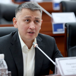 Кыргыз жана тажик жарандарынын эки өлкөнүн аймагында катталуу мөөнөтү 60 күнгө чейин узартылууда