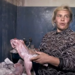 Ит менен мышыктын эти менен тамактанган үй-бүлө