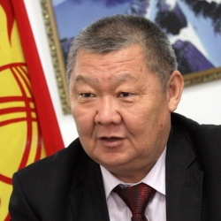 Парламент  предложил Президенту  возглавить Ассамблею народов Кыргызстана