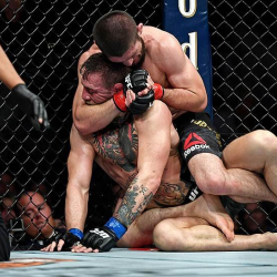 ВИДЕО: Хабибдин беттешинен кийин Камчыбек Ташиев күндүн жылдызы болду