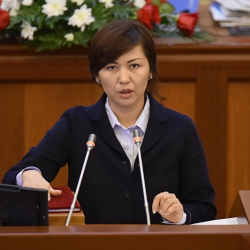 Махабат Мавлянова, Жогорку Кеңештин депутаты: «Мен жалпы кытай жарандарын эмес, кытай туристтерин гана чектелген мөөнөткө визасыз киргизүү сунушун бердим»