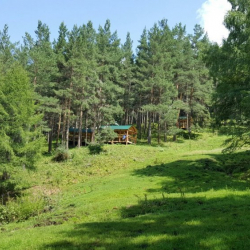 Бүгүн "Жашыл экономика" жумалыгы башталат