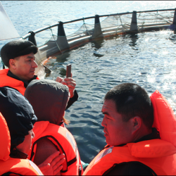 Сектор рыболовства и аквакультуры может много принести к нашему столу