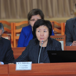 Сот департаменти жергиликтүү сотторго кошумча 56 штат бирдигин киргизүү демилгесин сунуштоодо