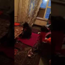 ВИДЕО: Баласынын колу сынса жоолук менен байлап ашата сөккөн эне