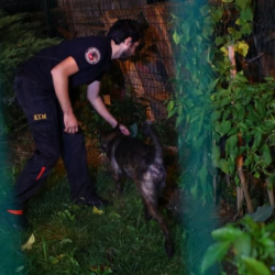 "Reuters": түрк полициясы Хашоггинин сөөгүн Стамбул токоюнан издеп жатат