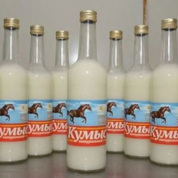 СҮРӨТ: Улуттук суусундугубуз "кымыз" дүйнөдөгү эң жийиркеничтүү тамактардын музейине коюлду