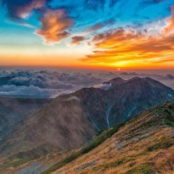 Жер жүзүнүн 23 пайызына гана кол тийген эмес