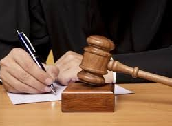 Бишкекте президентке кайрылып, итти уурдаган адам табылып жазага тартылды