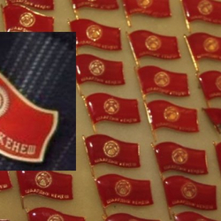 Депутаттык төш белги тагылган дамбал баяны