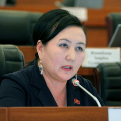 Эркингүл Иманкожоева: “Маалымат такталса Алмазбек Атамбаев, Фарид Ниязов жоопко тартылышы керек”