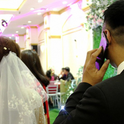 Тамадалар таптакыр байкуш болуп кетишиптир