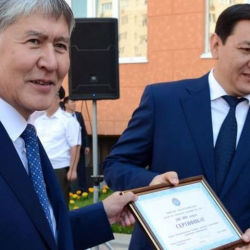 Сегизбаевдин богуна куурай сая алышпайт...