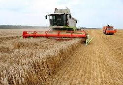 Айыл чарба, тамак-аш, өнөр жай жана мелиорация министрлигинин карамагына жер иштетүү институтуна өттү