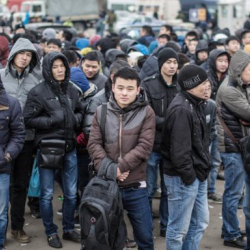 ВИДЕО: Акчаны алып, убада кылган жумушунан дарек жок, мекендештерибизди бөтөн жерде тентиреткен фейк-компаниялар 