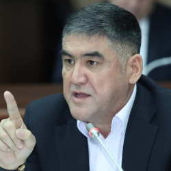  Курсан Асанов: "Чаткал районунун Терек-Сай айылында бейбаштык боюнча эки, мыйзамсыз сурма казган төрт факт катталды"