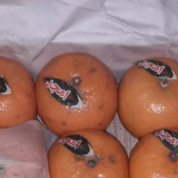 УКМК менен чек ара кызматы 23 тонна мандарин аткезчилик жол менен келатканын аныкташты