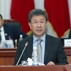 Шадиевдей амалдуу саясатчылардын  кесепети президентке көлөккө түшүрүшү мүмкүн