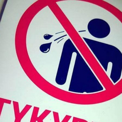 Жаңы мыйзамдар тууралуу ой толгоо же жаңы жылдык сюрприз