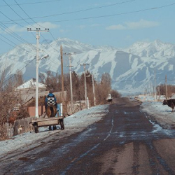 Предлагается придать статус села 31 населенному пункту