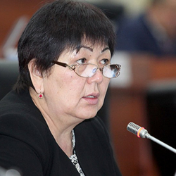 Карамат Орозова, депутат: "Кен казууда 4 гана компаниянын лицензиясы бар"