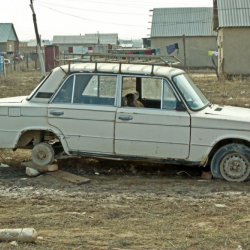 Жаңы конуштардын жолу оңолот дейби?