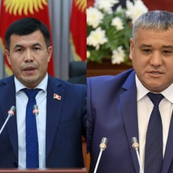 Эки эркек депутат мушташып бири-биринин "чачын" жулду