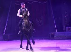 Бегалы Мурзалиев, цирктин кызматкери: "2015-жылдан бери жылкыларды өзүмдүн чөнтөгүмдөн багам. Айлыгым 7 миң сом"