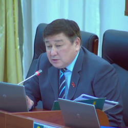 Ой - жүгүртүүсү кенен депутат