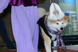 Ак калпакты мазактаган эси жоктор качан айыппул төлөшөт?