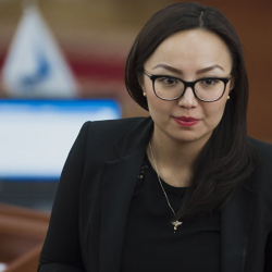 Депутат Айсулуу Мамашева эмнени чечет болду экен?