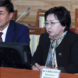 Кагаз жүзүндө карызды азайтуу айласыбы