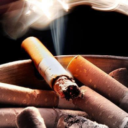 Чылымга карата чыгарылган мыйзам дагы шылдыңга калбайбы?