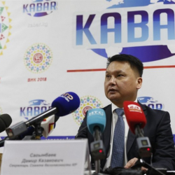 Дамир Сагынбаевдин маалымат жыйыны