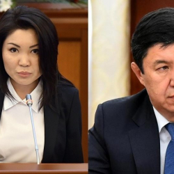Элвира Сурабалдиева эки жүздүүбү? Же депутаттын беш карандай калпы...