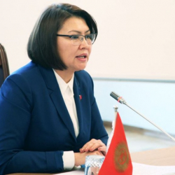 Алтынай Өмүрбекова Мамлекеттик миграция кызматынын коллегиялык жыйынына катышты