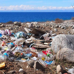 Ысык-Көлгө желим идиштерди алып кирүүгө тыюу салуу демилгеленүүдө