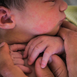 Сүрөт - Ымыркайды ыргытып ойногон. Малайзияда россиялык үй-бүлө кармалды