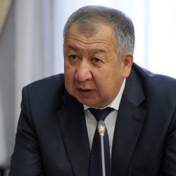 "Эшек такалап" отурган ыйгарым укуктуу өкүлдөрдүн ишине ичи жылыбаган Кубатбек Боронов