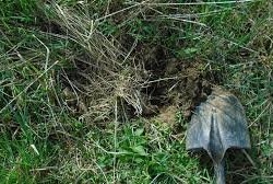 Келиндин өлүмүнө шектелип күйөөсү жана кайненеси кармалды