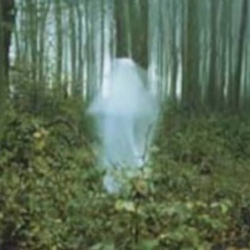 Отуз жыл жашаган жин